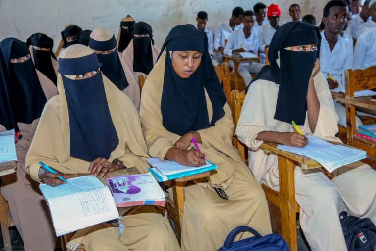 Female students working together in a classroom while planning their next academic steps.