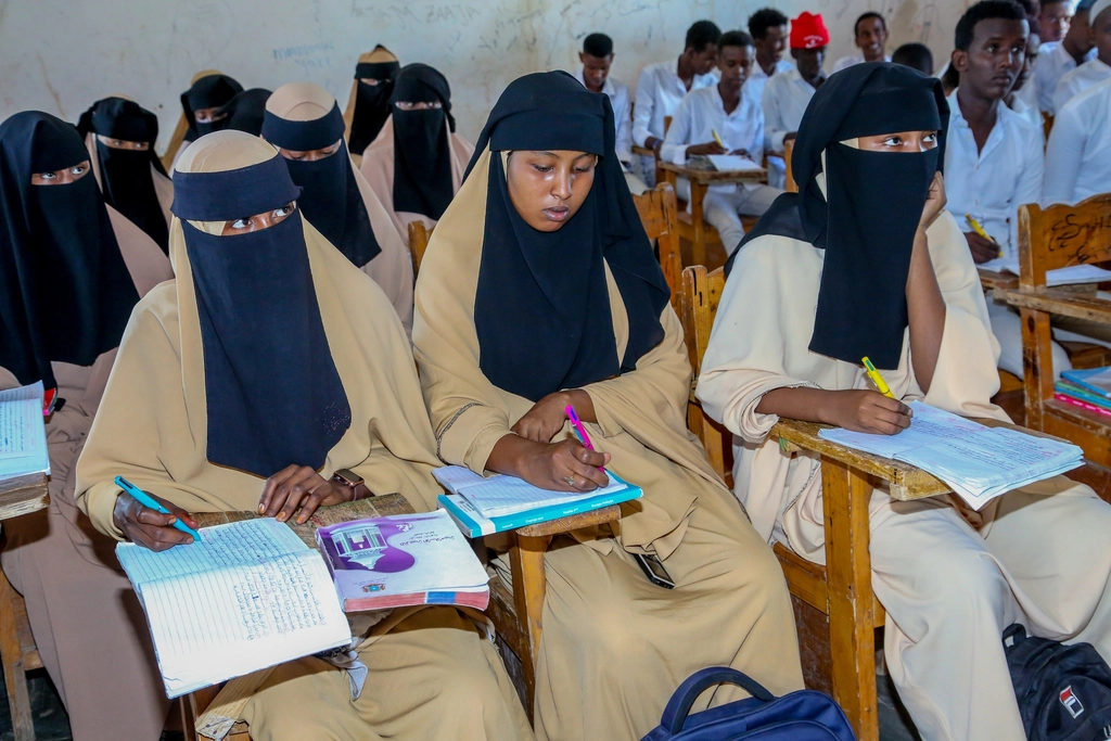 College Tutors 7 Female students working together in a classroom while planning their next academic steps.